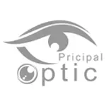 optic principale